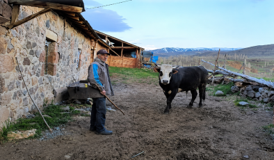Geçen Yıl Satılamayan Hayvanlar Bu Yıl da Elde Kaldı