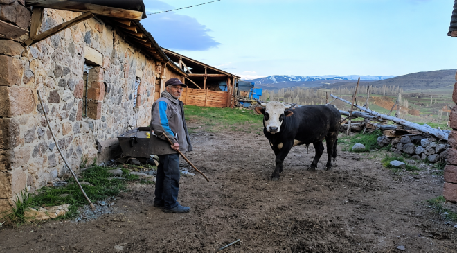Geçen Yıl Satılamayan Hayvanlar Bu Yıl da Elde Kaldı