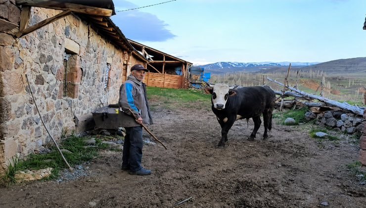 Geçen Yıl Satılamayan Hayvanlar Bu Yıl da Elde Kaldı