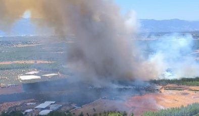 Antalya Kepez’de orman yangını