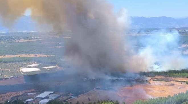 Antalya Kepez’de orman yangını