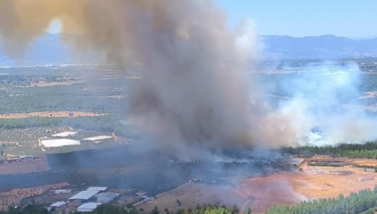 Antalya Kepez’de orman yangını